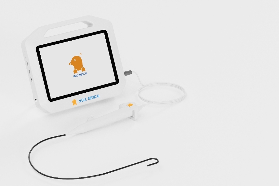 flexible digital ureteroscope