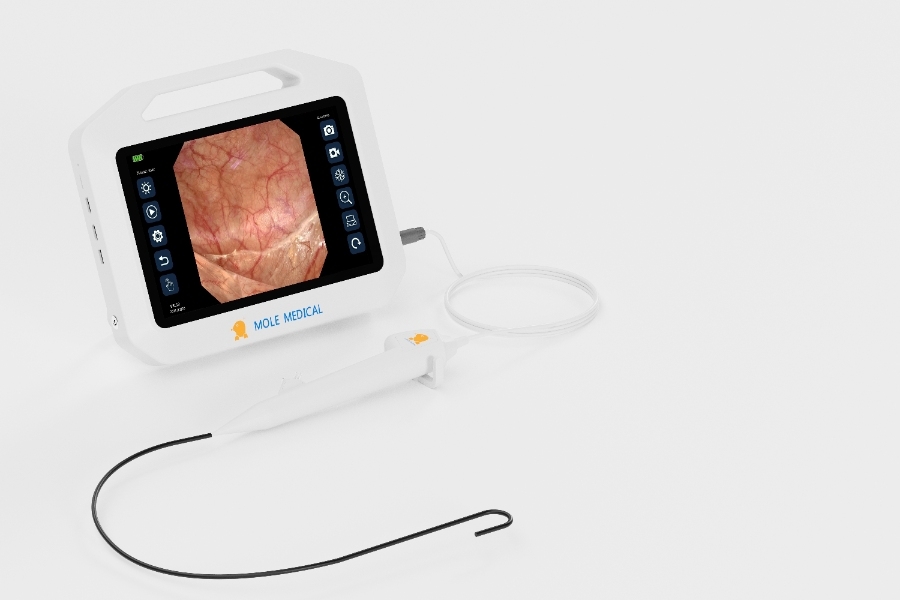 ureteroscope storz