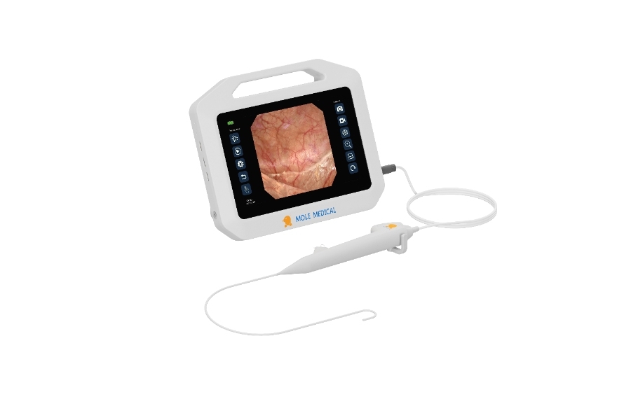 ureteroscope karl storz